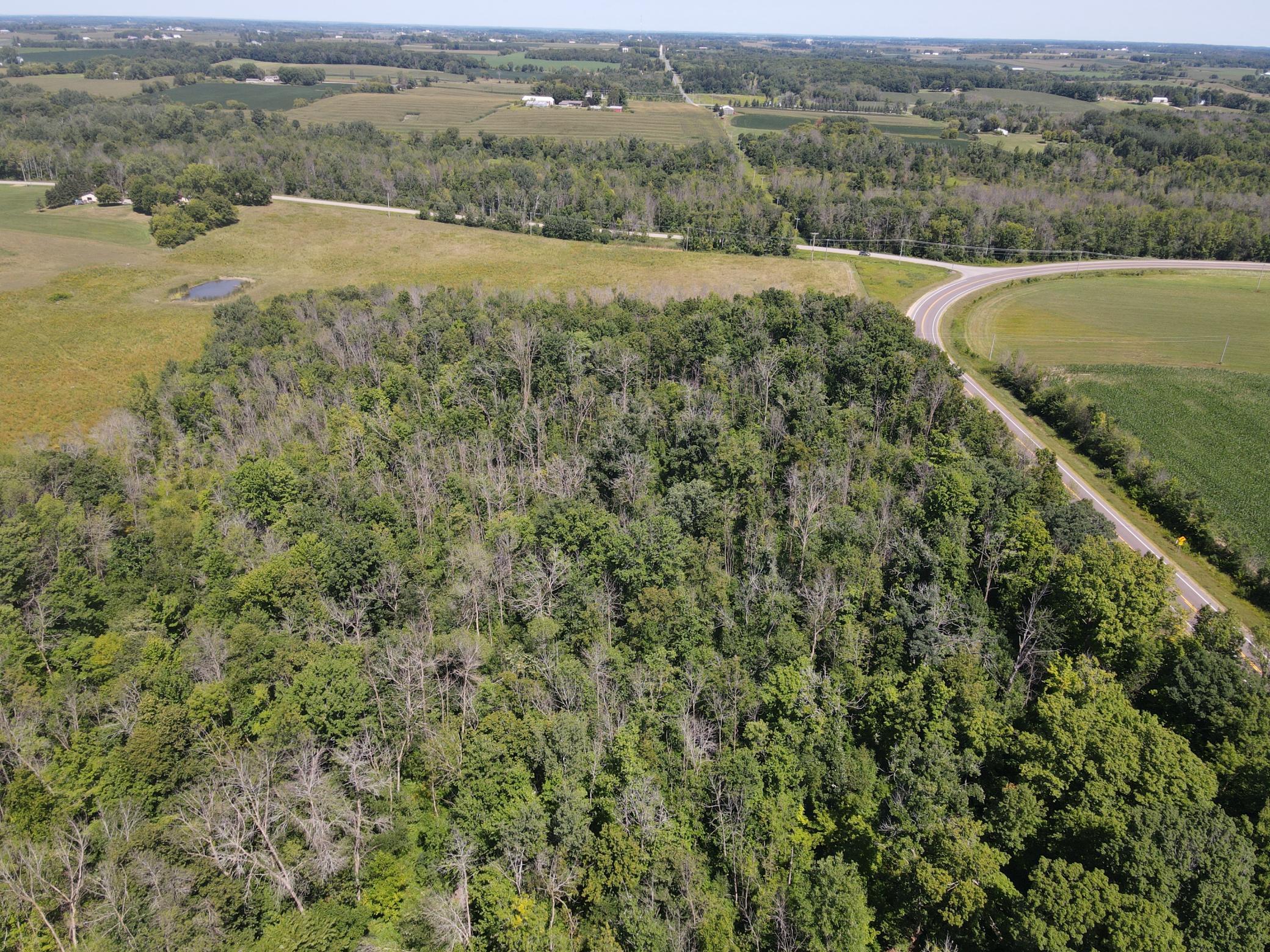 DJI_0174.JPG