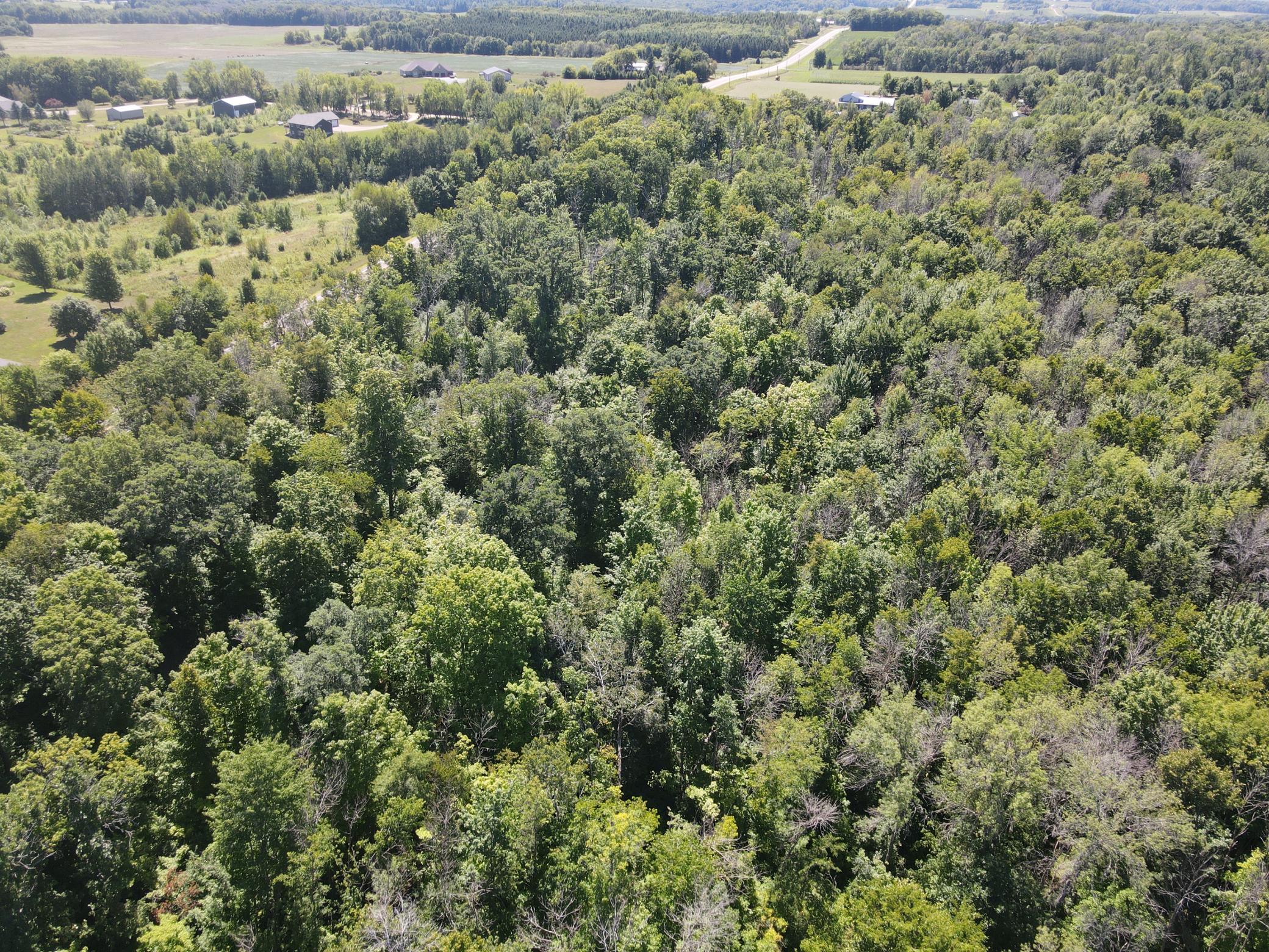 DJI_0163.JPG
