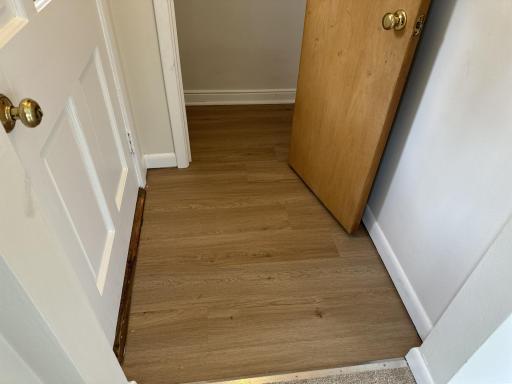New LVP flooring in the entryway to protect the new carpet in the home.