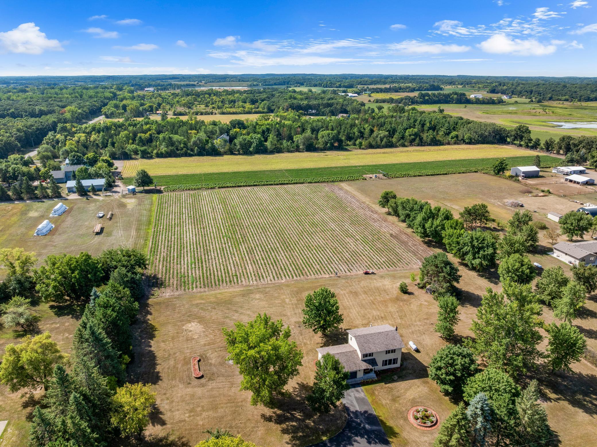 DJI_20260828111547_0200_D.jpg
