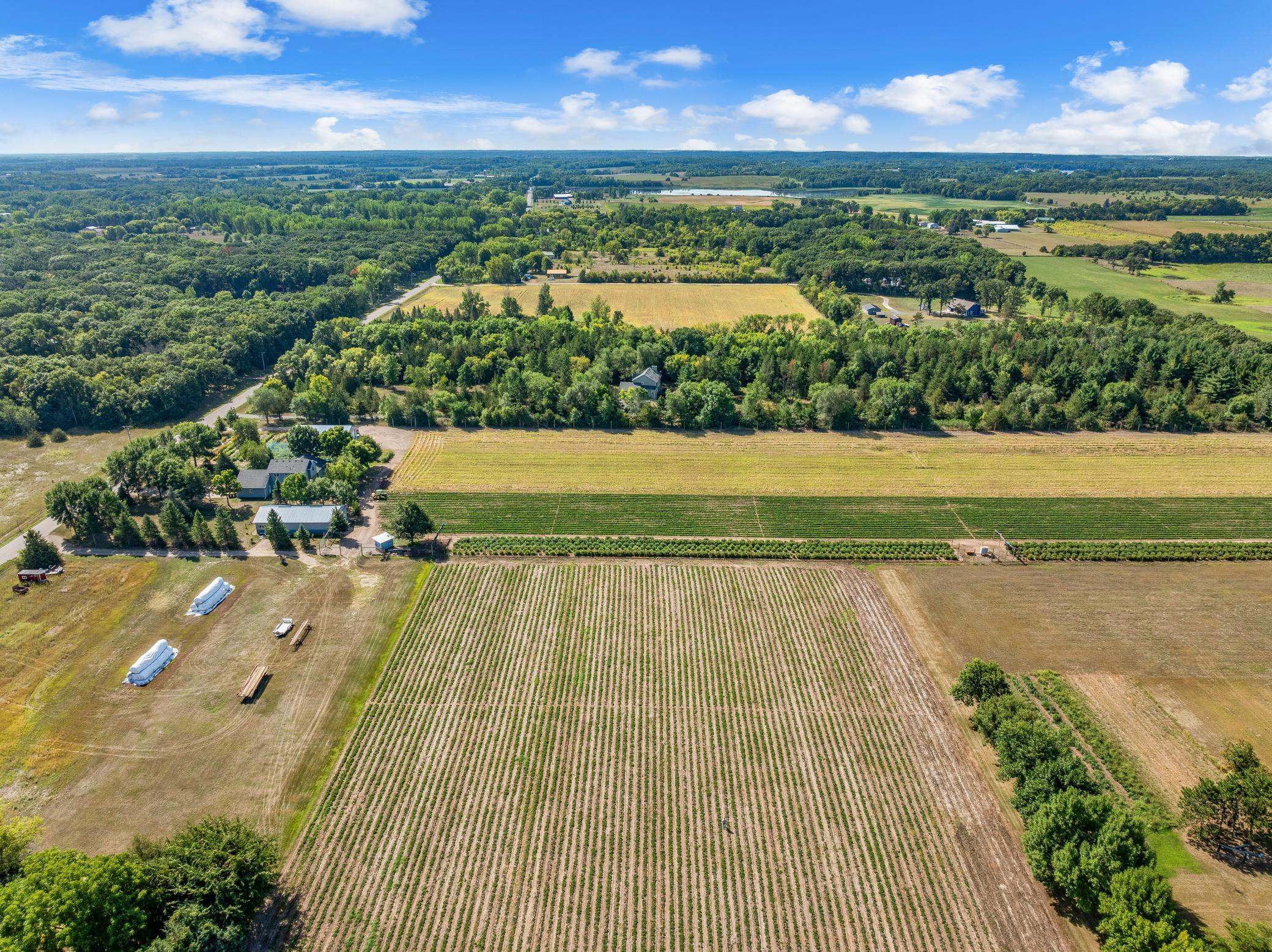 DJI_20260828111619_0202_D.jpg