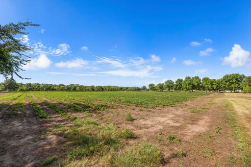 409 127th Street NE, Monticello, MN 55362