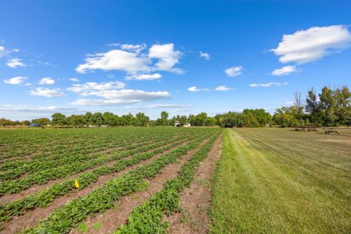 409 127th Street NE, Monticello, MN 55362