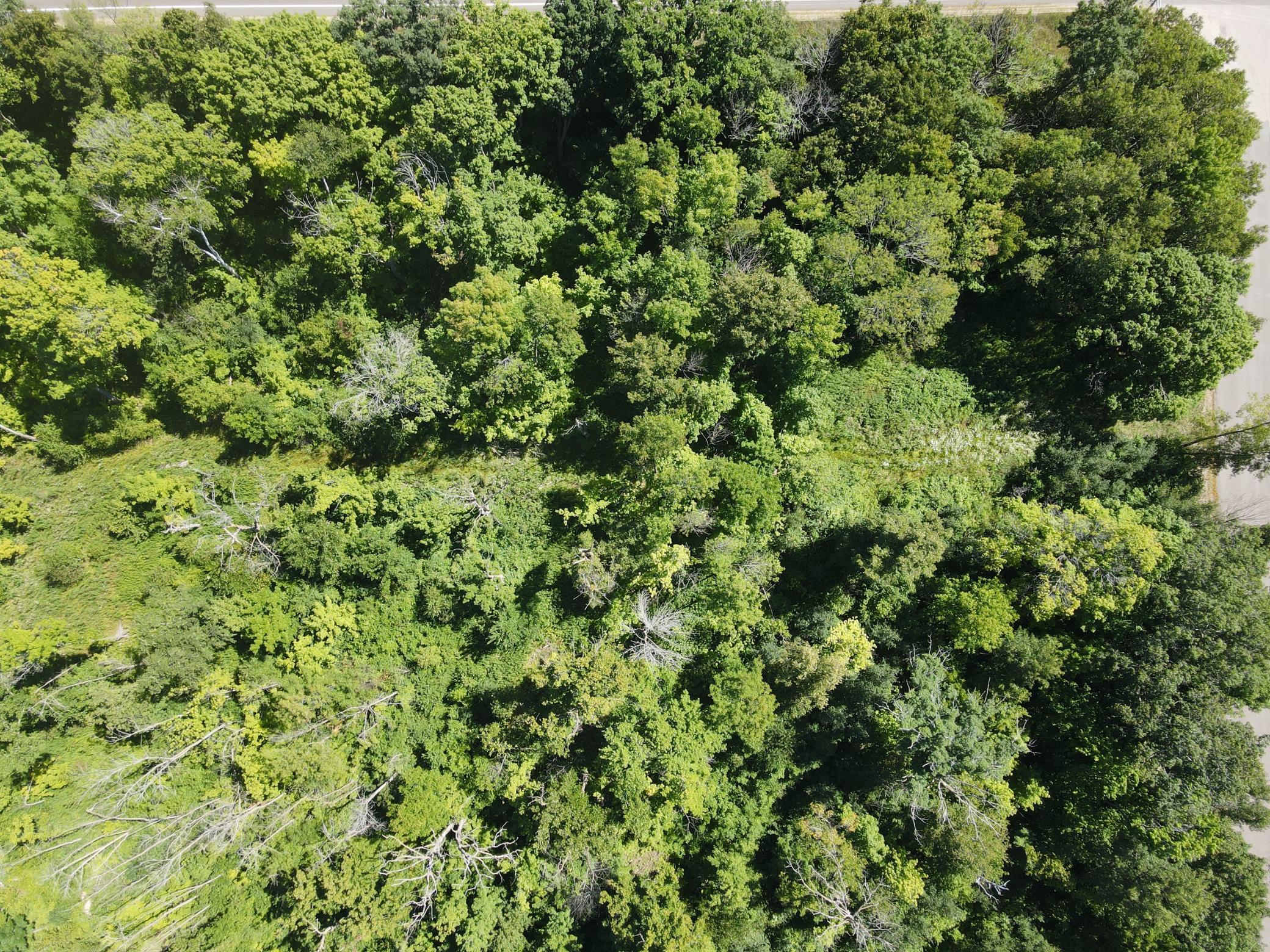 DJI_0168.JPG