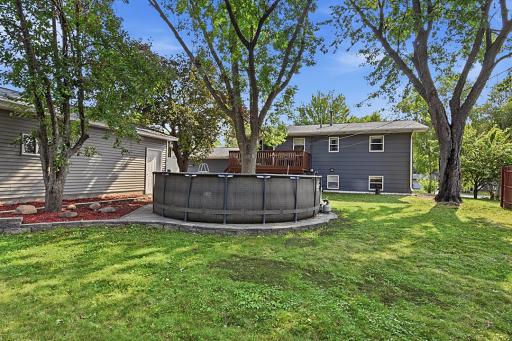 Back Yard pool