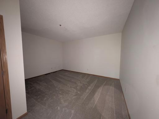 Large Lower Level Family Room