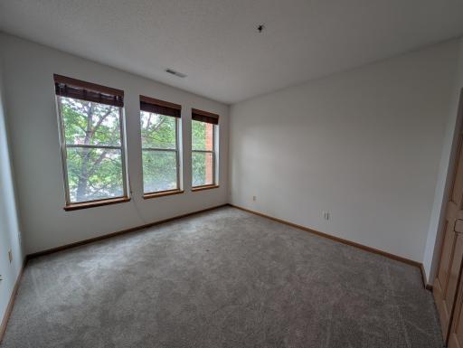 Large Lower Level Bedroom