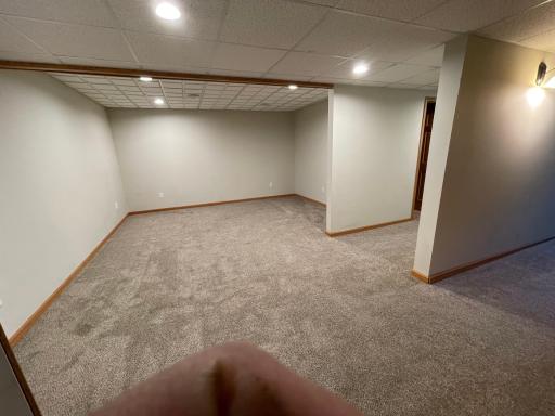 Lower level FLex space - game room ideas?