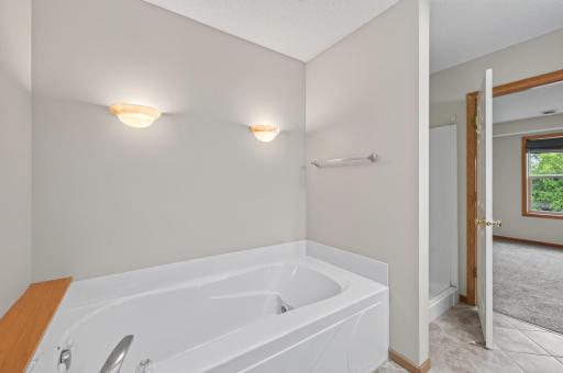 Separate soaking tub and shower