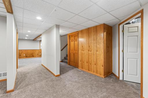 Extra closets located here in lower level