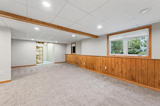LL media room w/ walk-in storage closet