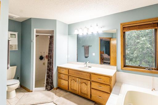 15110 Avocet Street NW, Andover, MN 55304