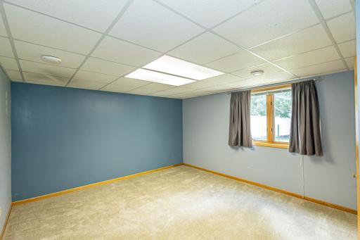 15110 Avocet Street NW, Andover, MN 55304