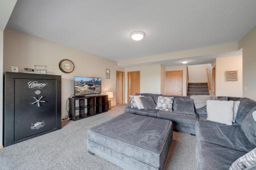 8710Photography-High-Resolution-553-Tuttle-Drive-Hastings-MN-55033-33.jpg