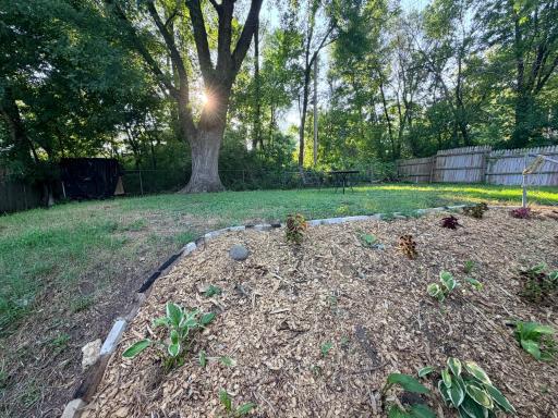 Gentry Backyard 1