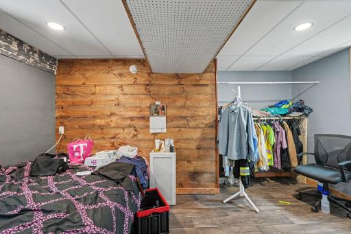 Lower level bedroom