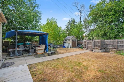 large fenced backyard