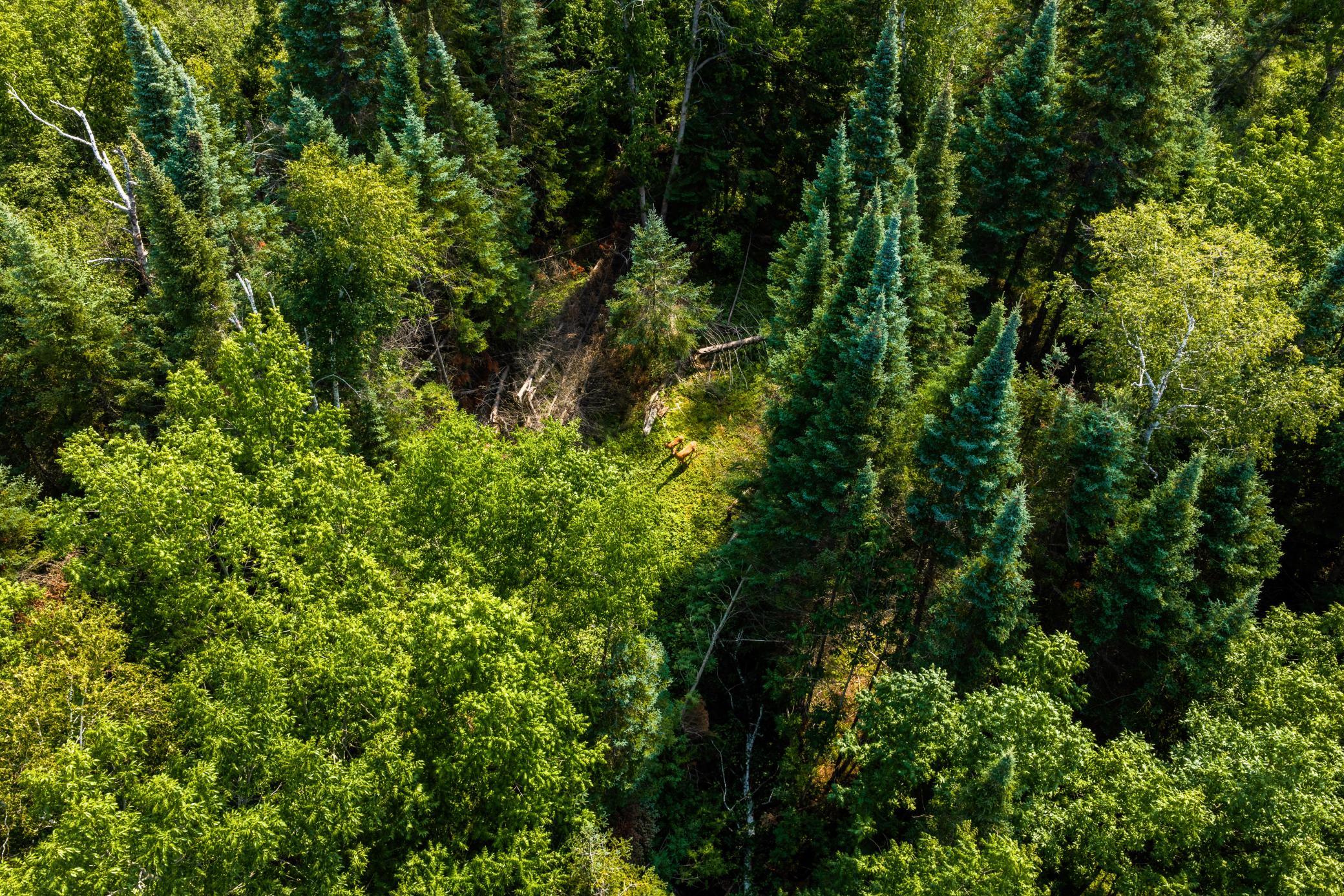 DJI_20260810111645_0055_D.jpg