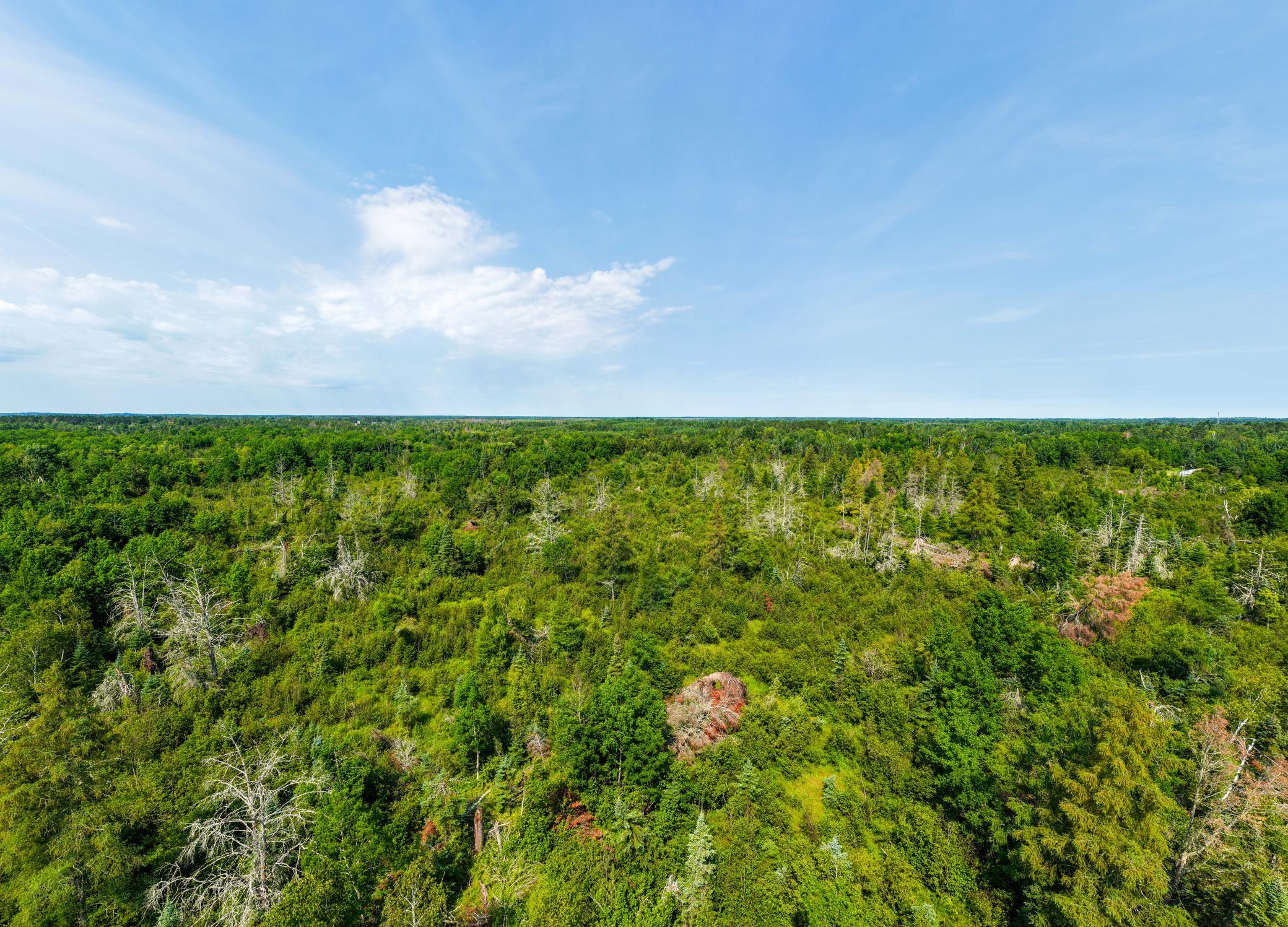 DJI_20260810112519_0082_D.jpg