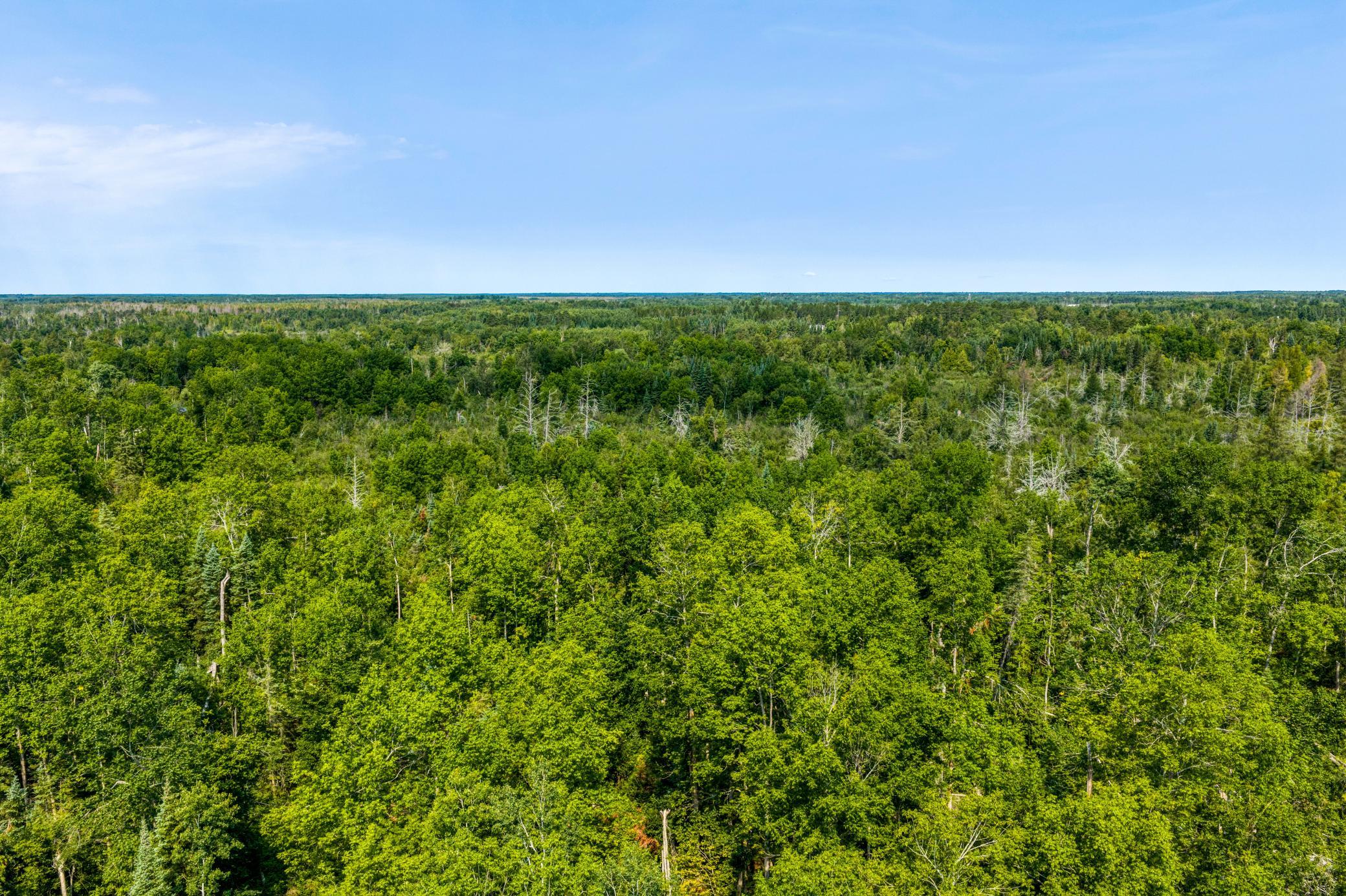 DJI_20260810111515_0040_D.jpg