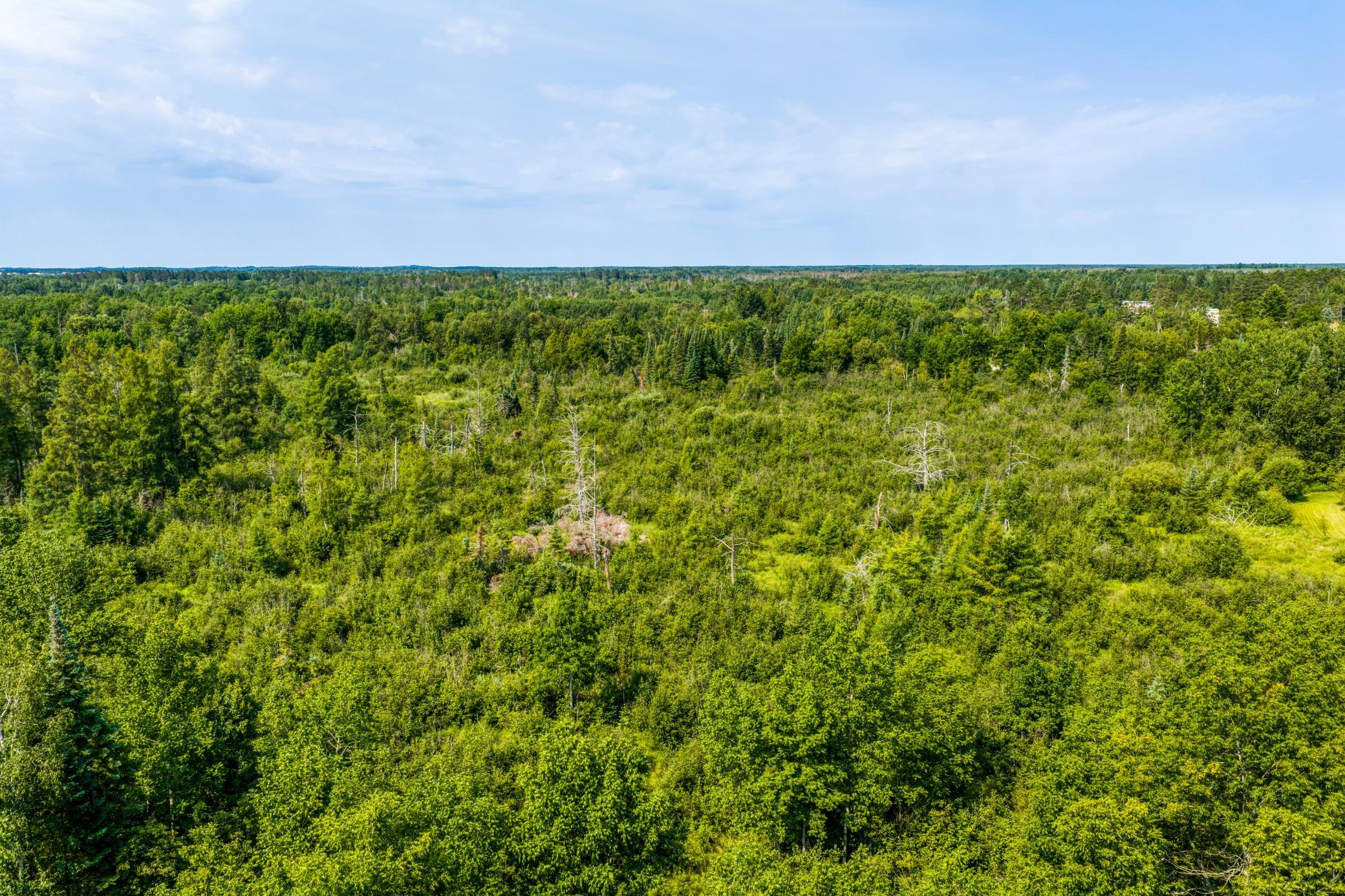 DJI_20260810111405_0035_D.jpg