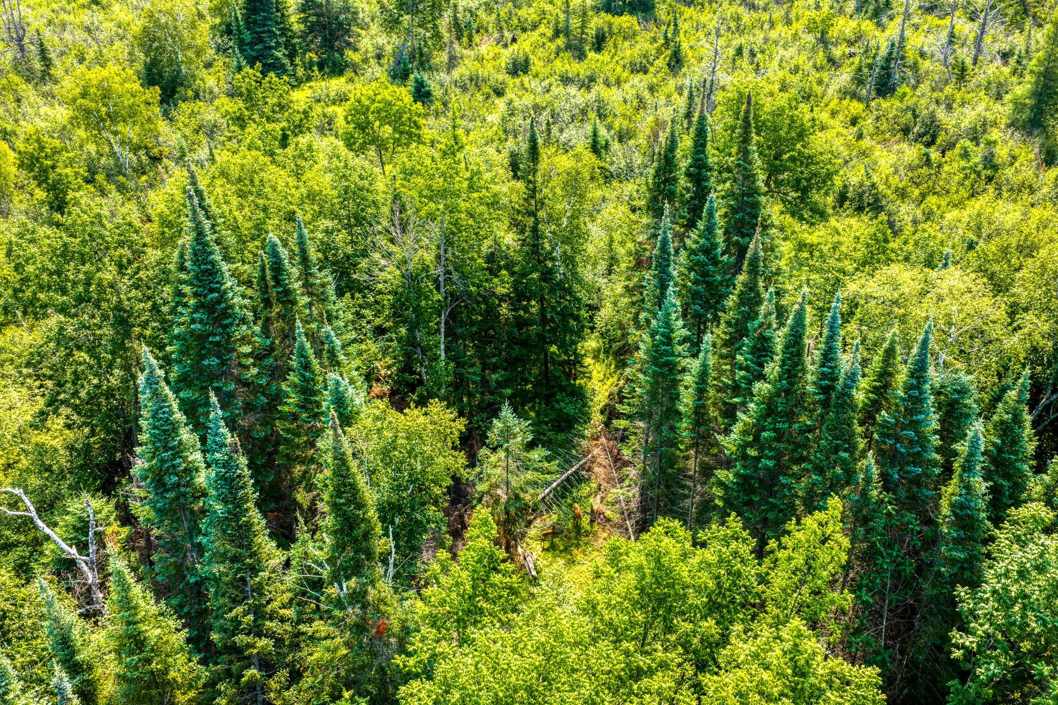 DJI_20260810111610_0045_D.jpg