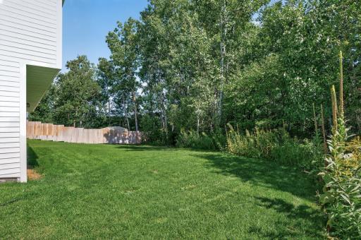 Wooded Backyard