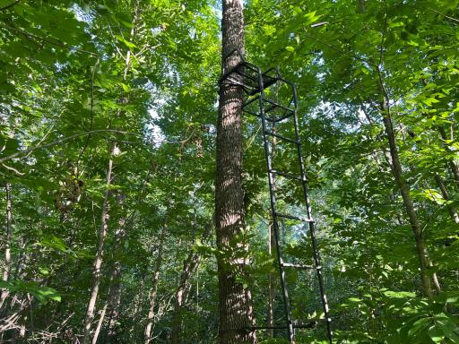 000 Beroun Crossing Rd, Brook Park, MN 55007