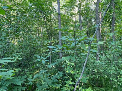 000 Beroun Crossing Rd, Brook Park, MN 55007