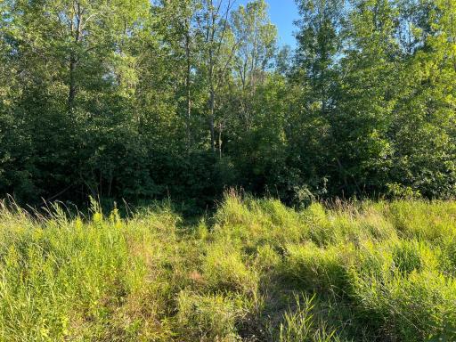 000 Beroun Crossing Rd, Brook Park, MN 55007