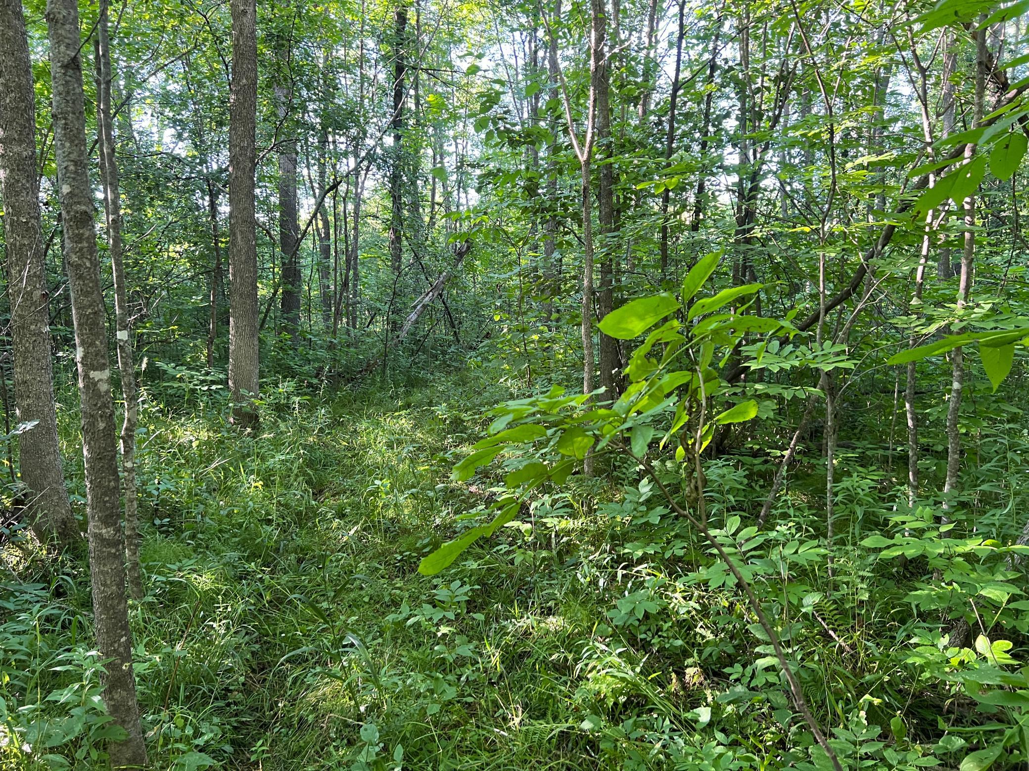 IMG_3909.JPG