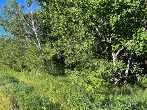 000 Beroun Crossing Rd, Brook Park, MN 55007