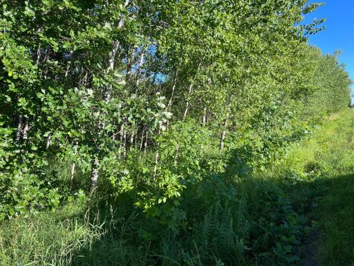 000 Beroun Crossing Rd, Brook Park, MN 55007