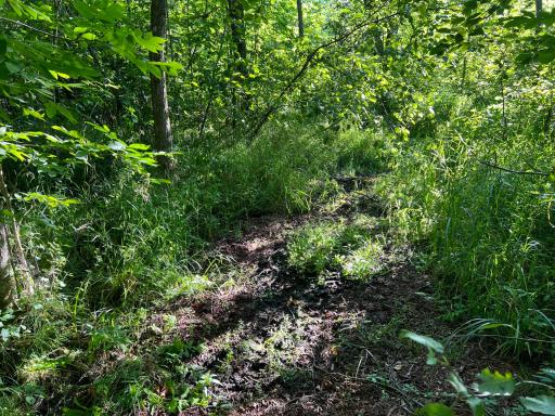 000 Beroun Crossing Rd, Brook Park, MN 55007
