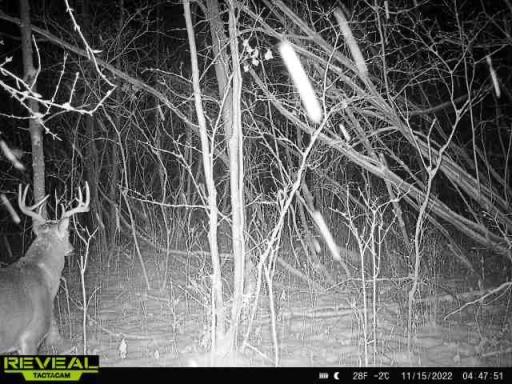 000 Beroun Crossing Rd, Brook Park, MN 55007