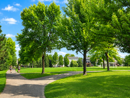 Park C.png
