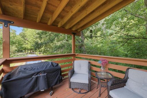 33826 Red Oak Lane, Grand Rapids, MN 55744