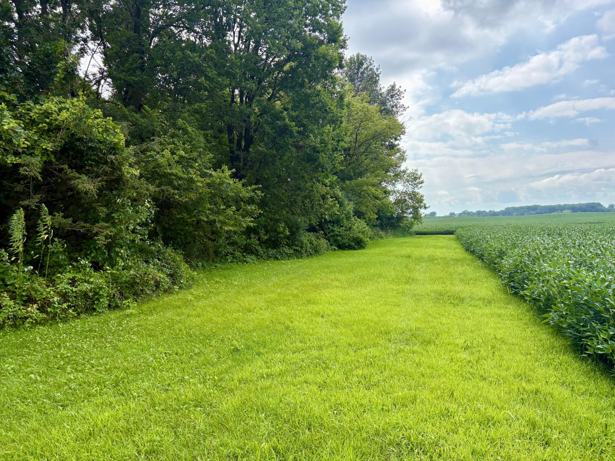 Along the North boundary
