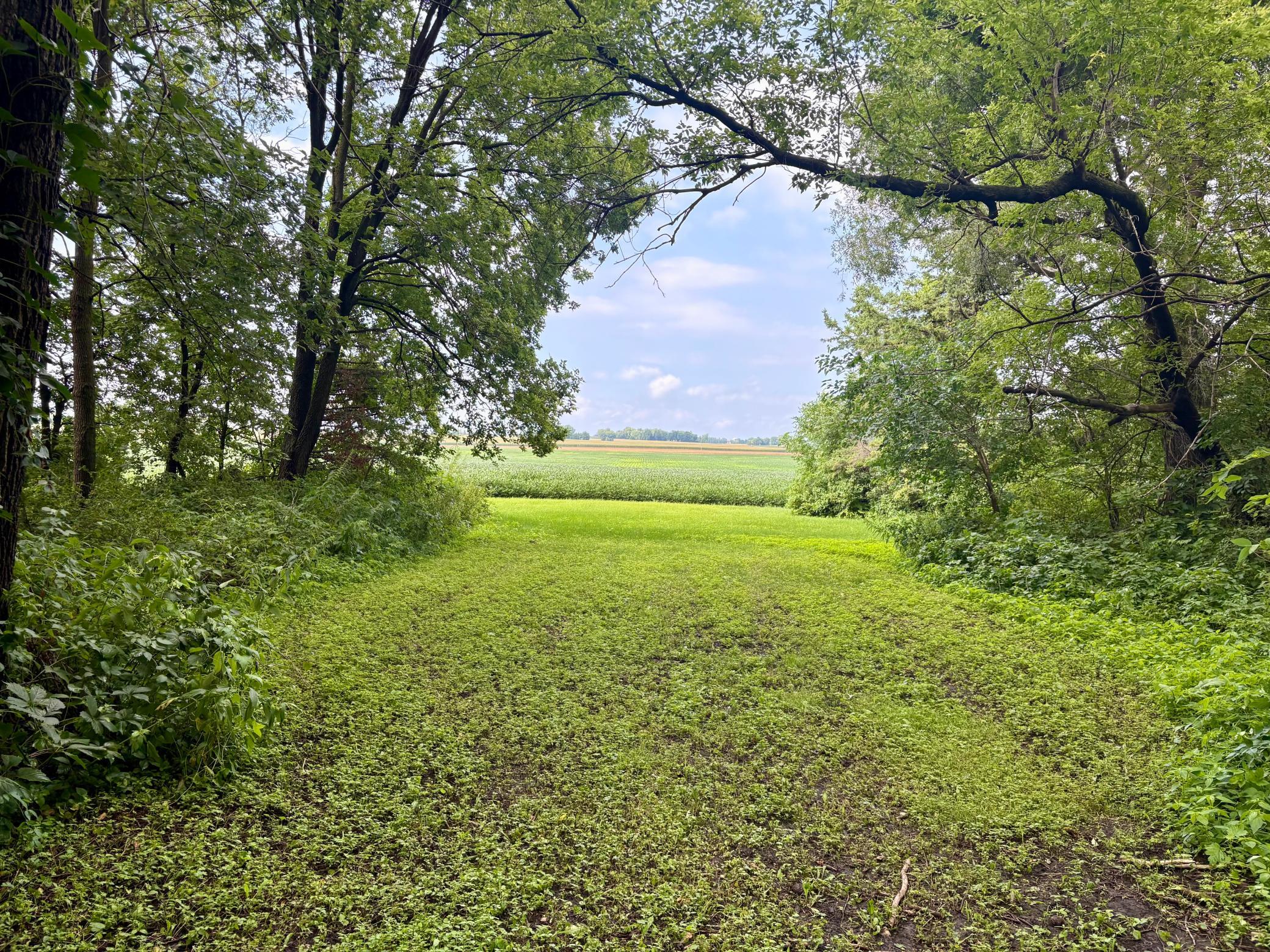 Looking North