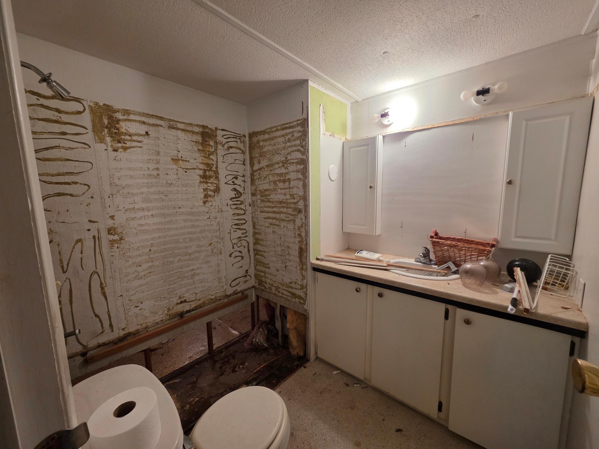 Bathroom is in progress for repairs