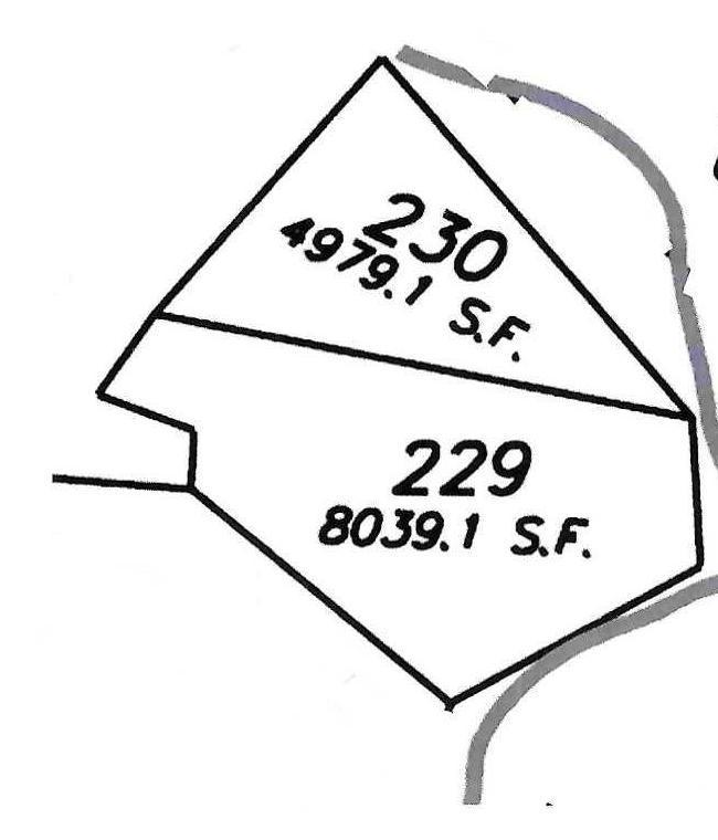 Unit 229 is spacious and backs up to "Frog Creek." Unit 230 for sale separately from Unit 229.