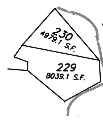 Unit 229 is spacious and backs up to "Frog Creek." Unit 230 for sale separately from Unit 229.