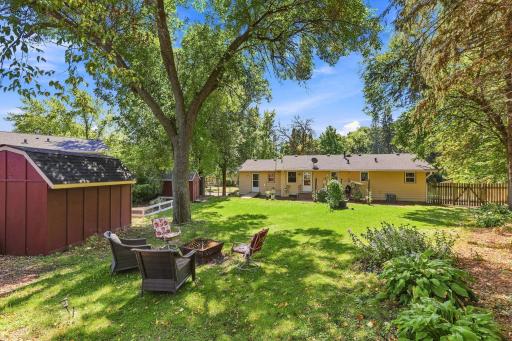 Massive backyard