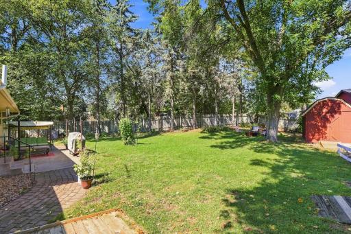 Large flat backyard
