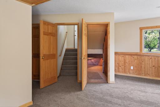 Walkout lower level features a spacious family room with abundant natural light, built-in storage closets, and easy backyard access.