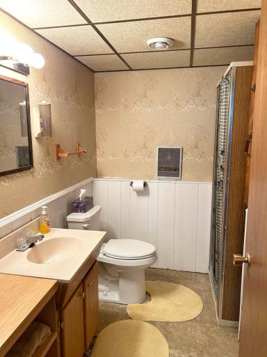 Views of the lower level second bathroom, a 3/4 bath.