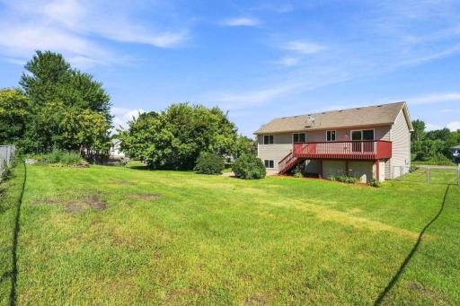 Huge yard with plenty of room to run and play.