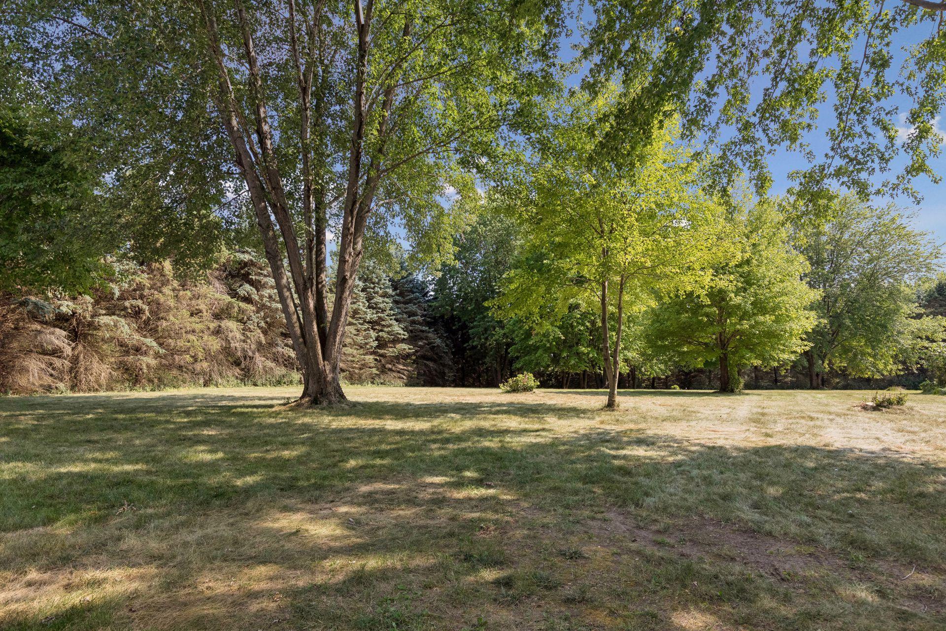 Another look at the gorgeous front yard—wide-open green space that has been well loved for playing, gathering and enjoying life outdoors.