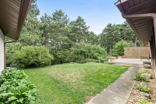 Back yard