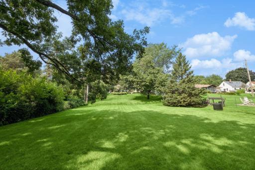 Long double lot with gently sloping yard backs up to Mud Lake Park!